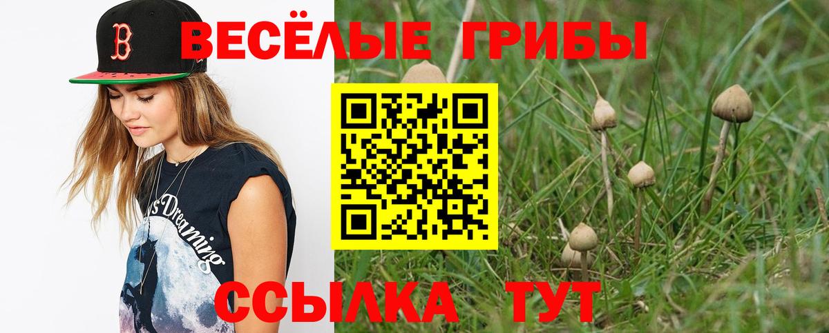 Псилоцибиновые грибы Psilocybine cubensis  Псилоцибиновые грибы GOLDEN TEACHER  Вход с VPN  Донской 